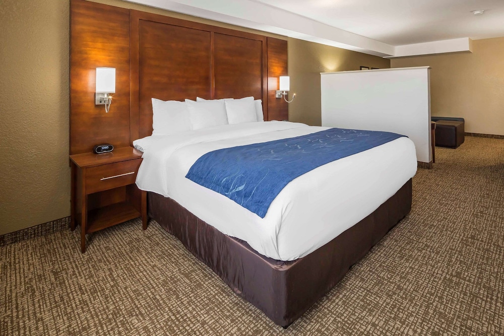 SUITE, KING BED, ACCESSIBLE