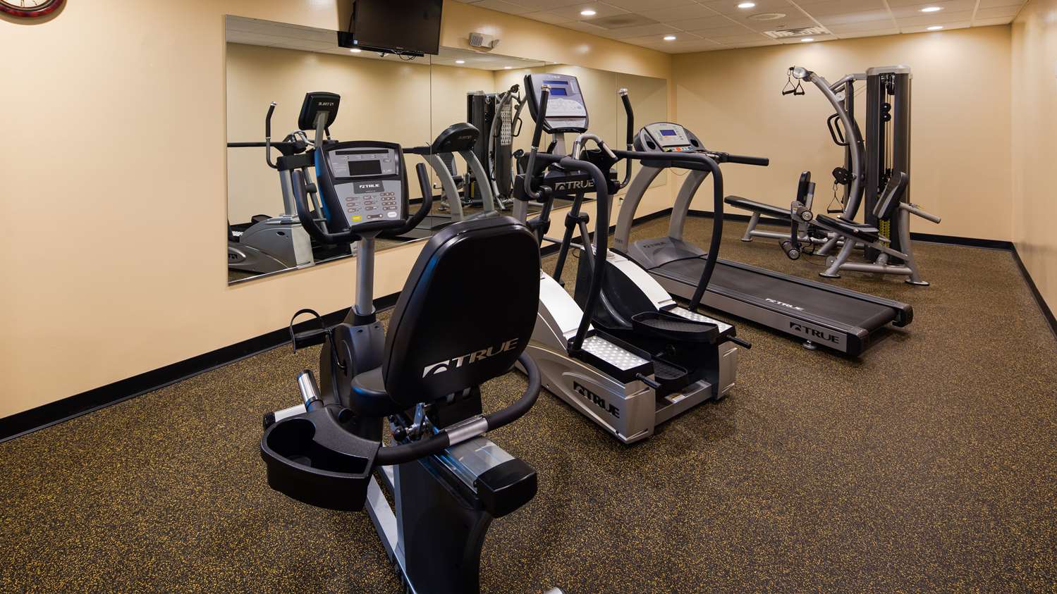 Best Western Plus Finger Lakes Inn & Suites 15/32