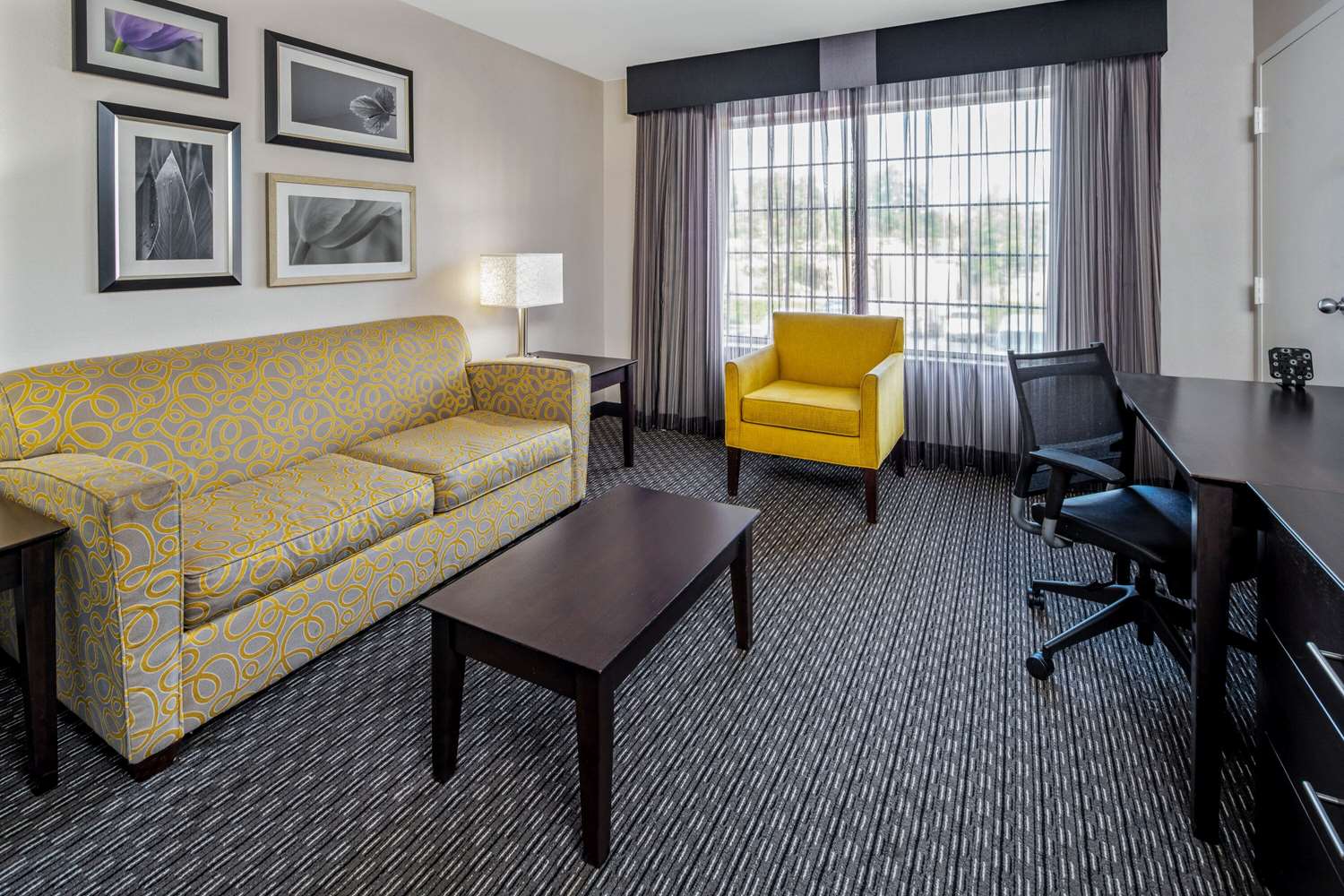 Holiday Inn Express & Suites Anaheim Convention Center Area 25/45