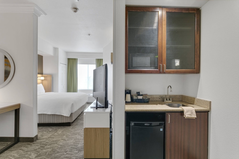 Springhill Suites By Marriott Sacramento Airport Natomas 30/35
