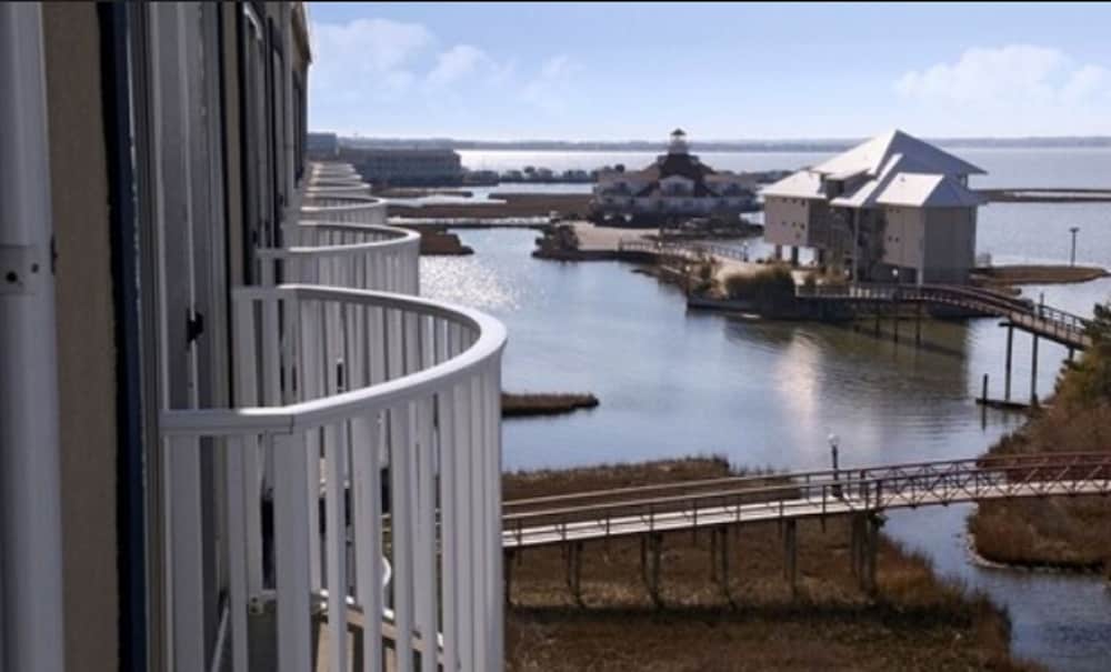 Coconut Malorie Resort Ocean City, an Ascend Collection Hotel 38/61
