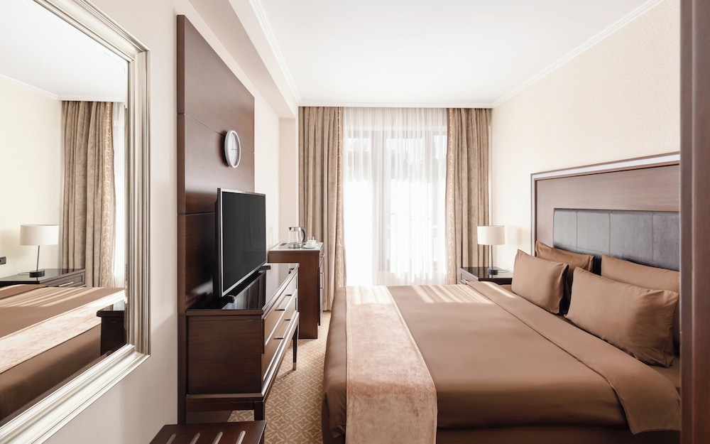 Chinar Hotel & Spa 15/50