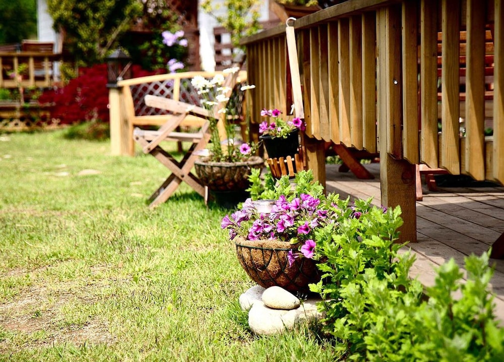 Spa Pension Basso 40/50