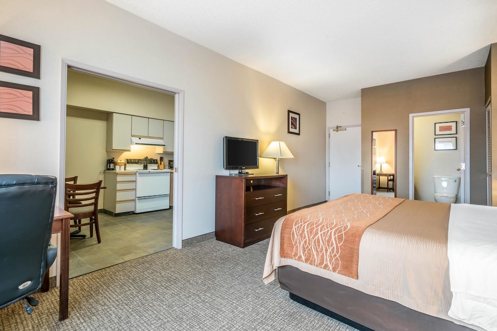Comfort Inn & Suites Seattle North 10/33