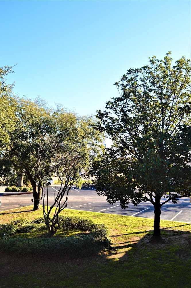 Plantation Inn 34/50