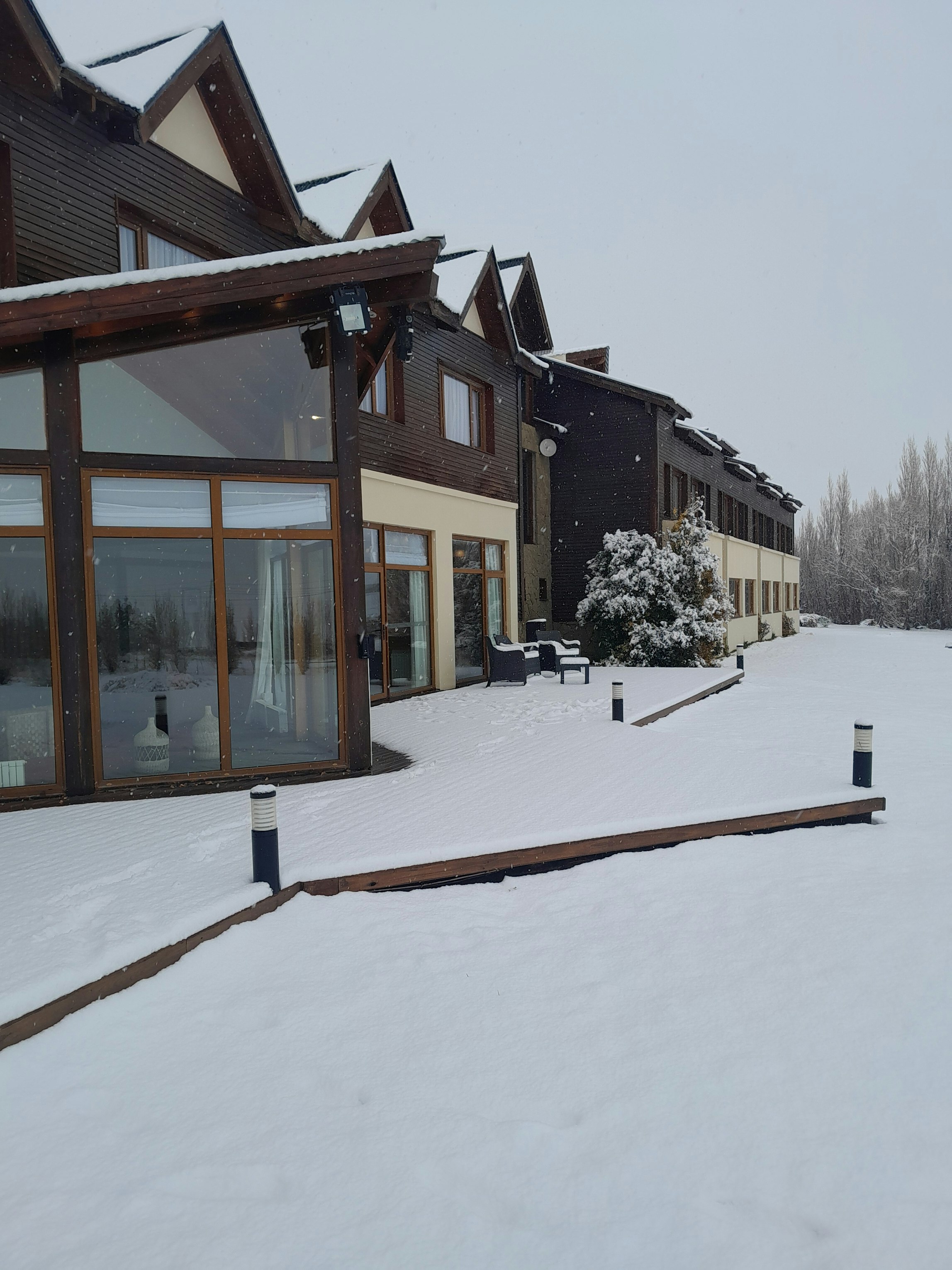 ROCHESTER CALAFATE 39/39
