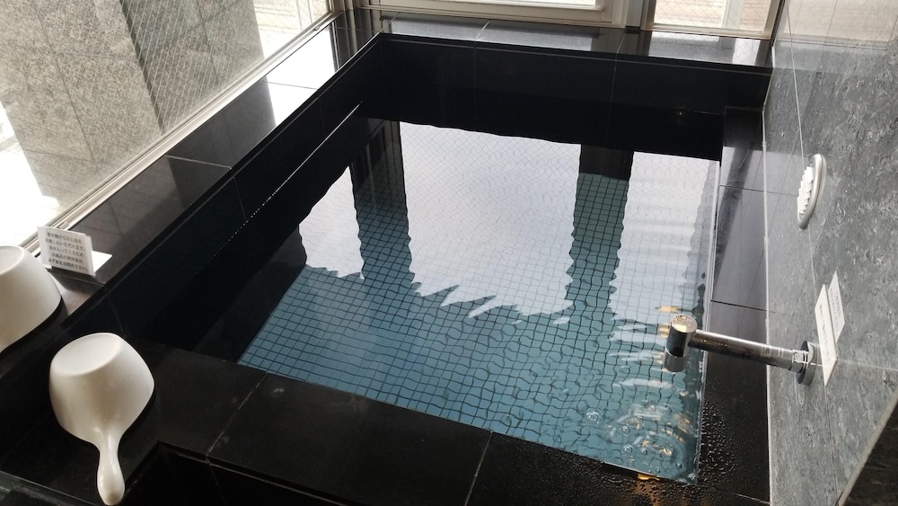 Myhotel Okazaki 13/65