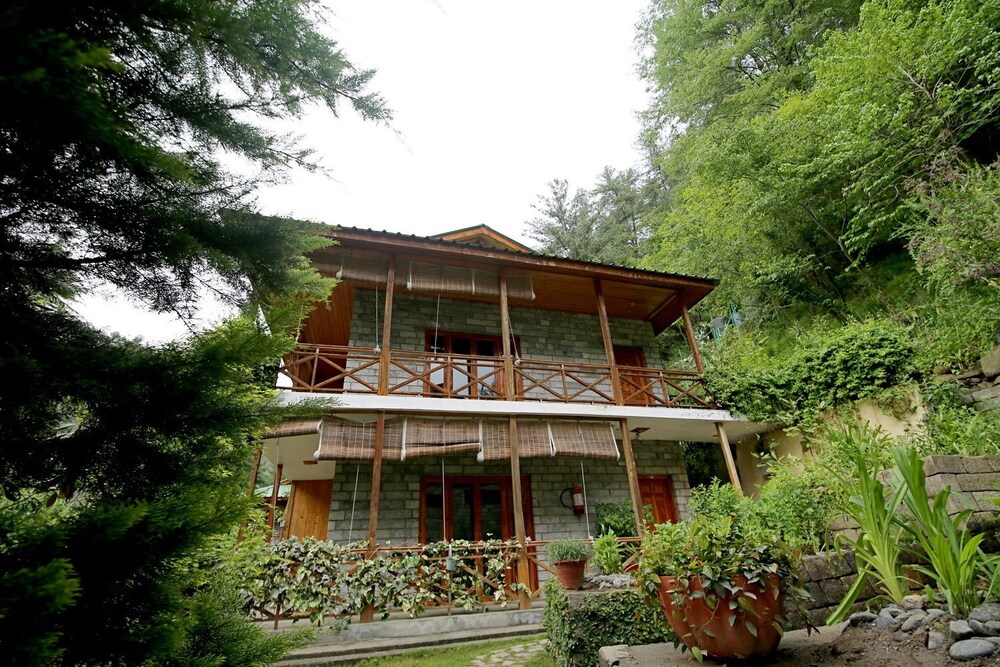 Tall Trees Resort 1/50