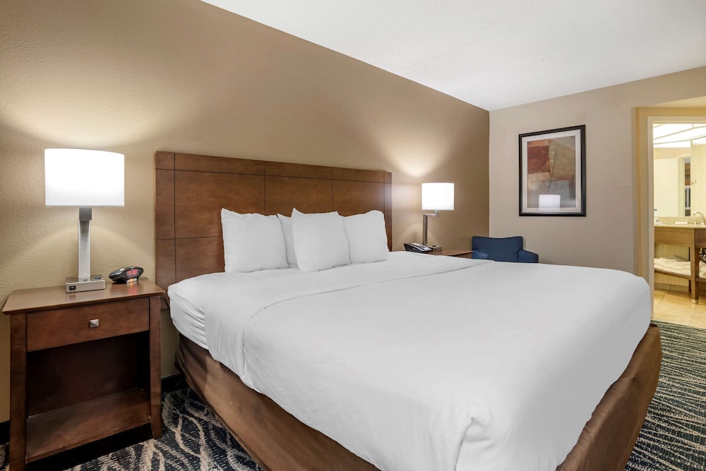 Comfort Inn Suites Newark Wilmington 21/65