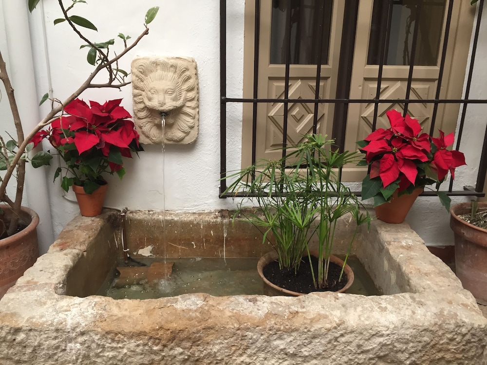 Los Patios 20/39