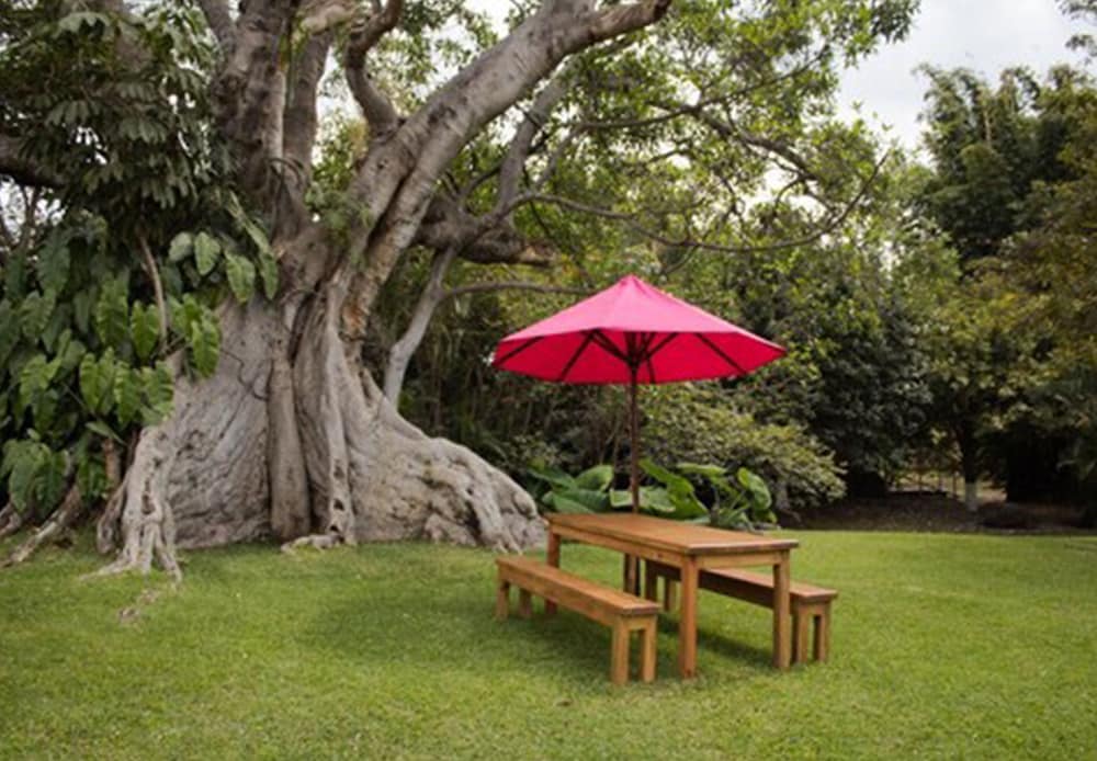 Hotel Quinta Moctezuma 49/60