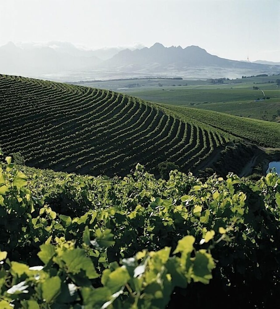 Jordan Wines Luxury Suites 54/61
