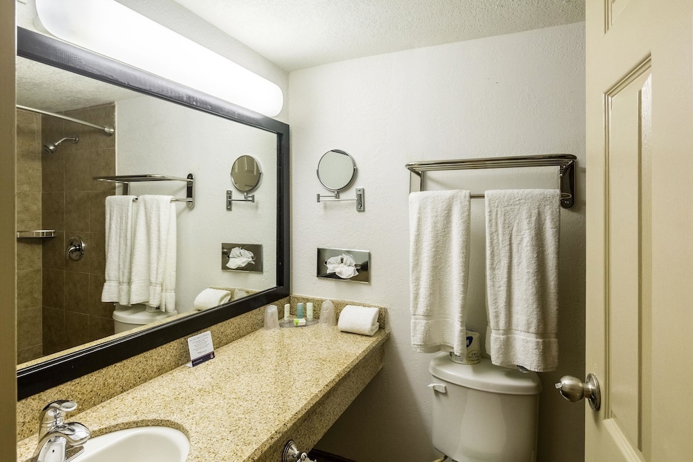 Clarion Inn Near McAllen Airport 16/44