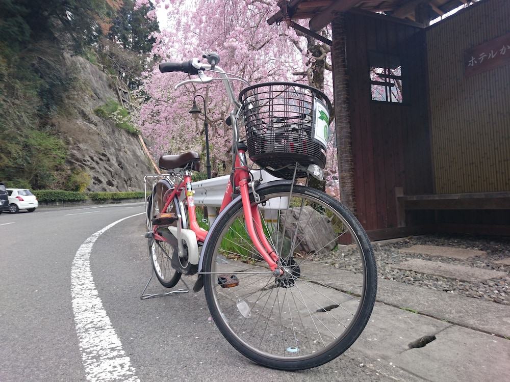 Shin Iya Onsen Hotel Kazurabashi 39/55