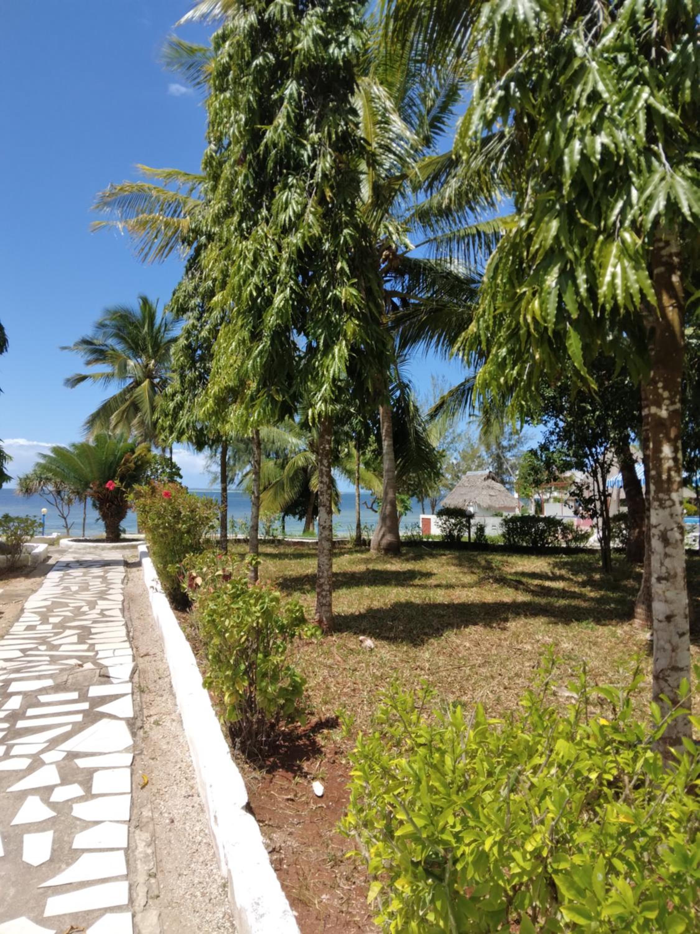 Coconut Tree Village Beach Resort 13/18