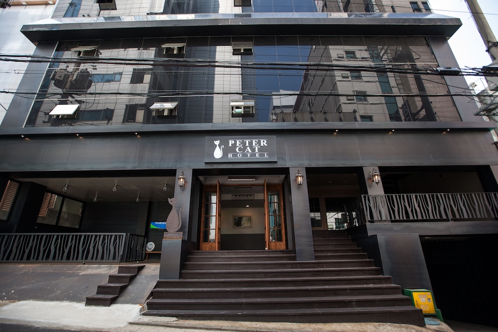 Petercat Hotel Hongdae 2/47