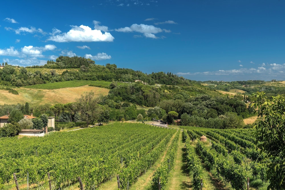 Tenuta Sovestro 36/50