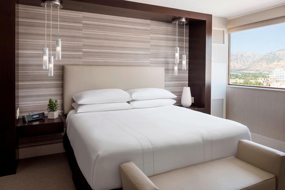 Provo Marriott Hotel And Conference Center 18/58