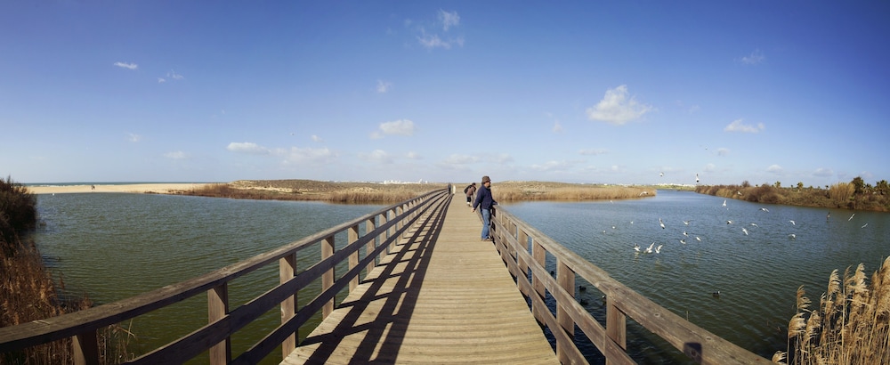 Bayside Salgados 25/58