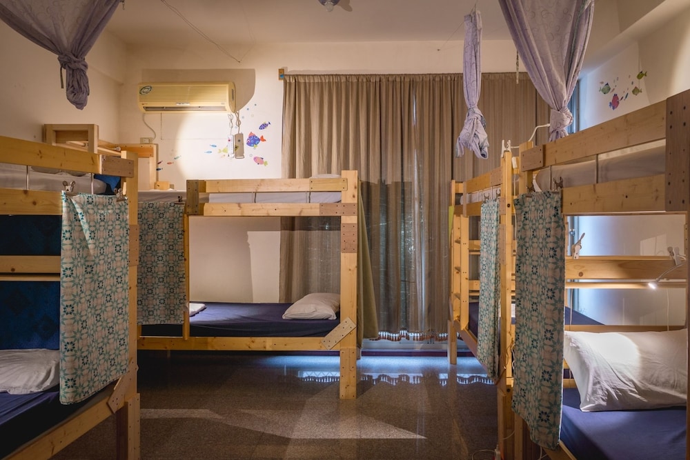 Fish Hostel 50/50