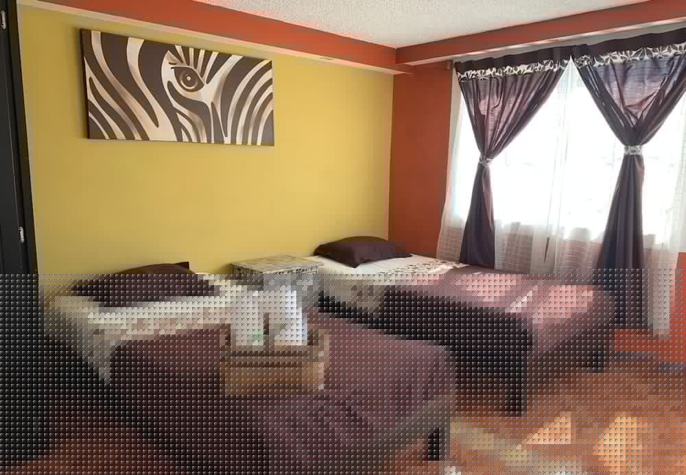 Hotel & Suites Cerro Rojo 43/68