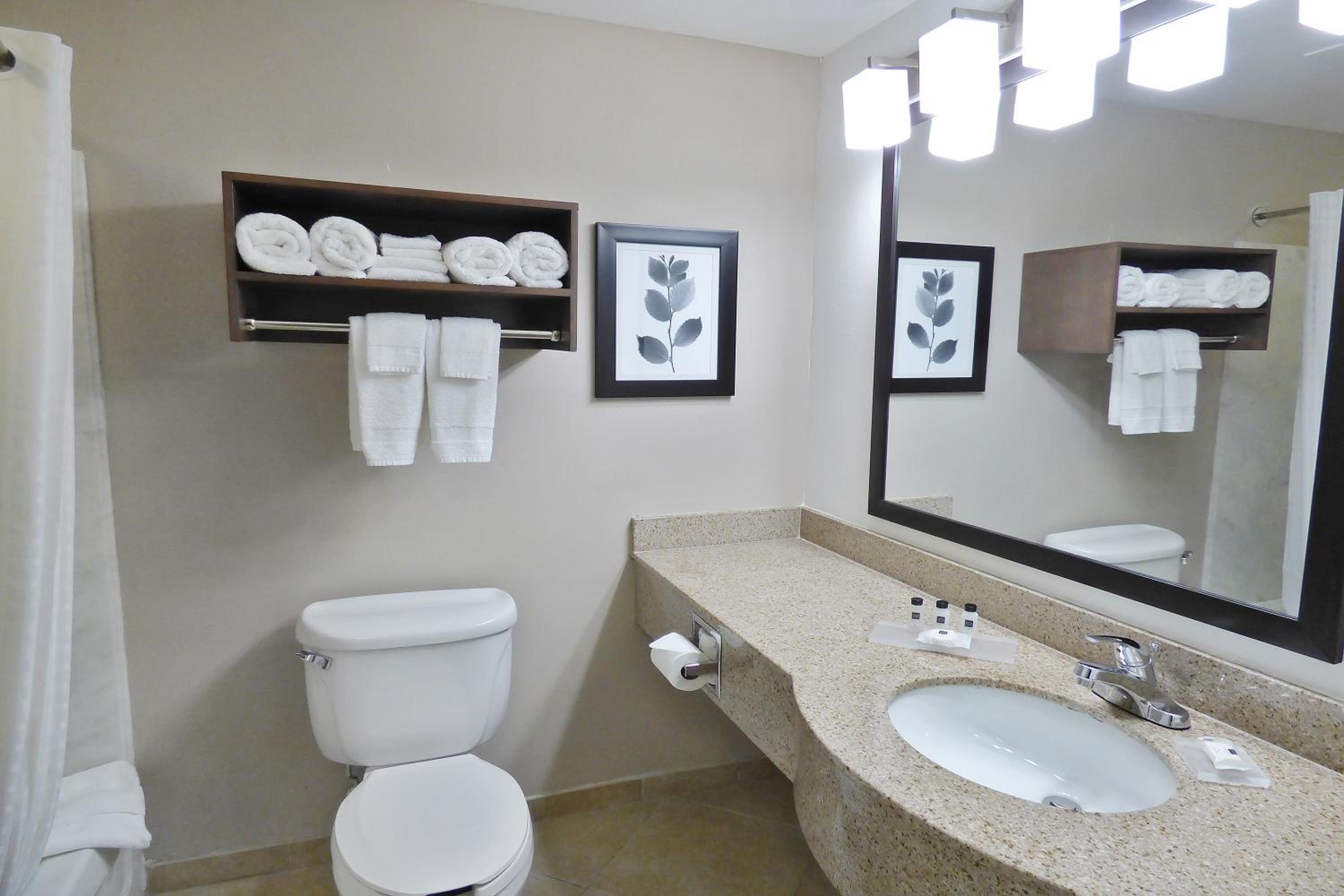 استوديو سوبيريور بسرير كوين مع أريكة، Country Inn and Suites by Radisson Tampa/Brandon FL 2/2