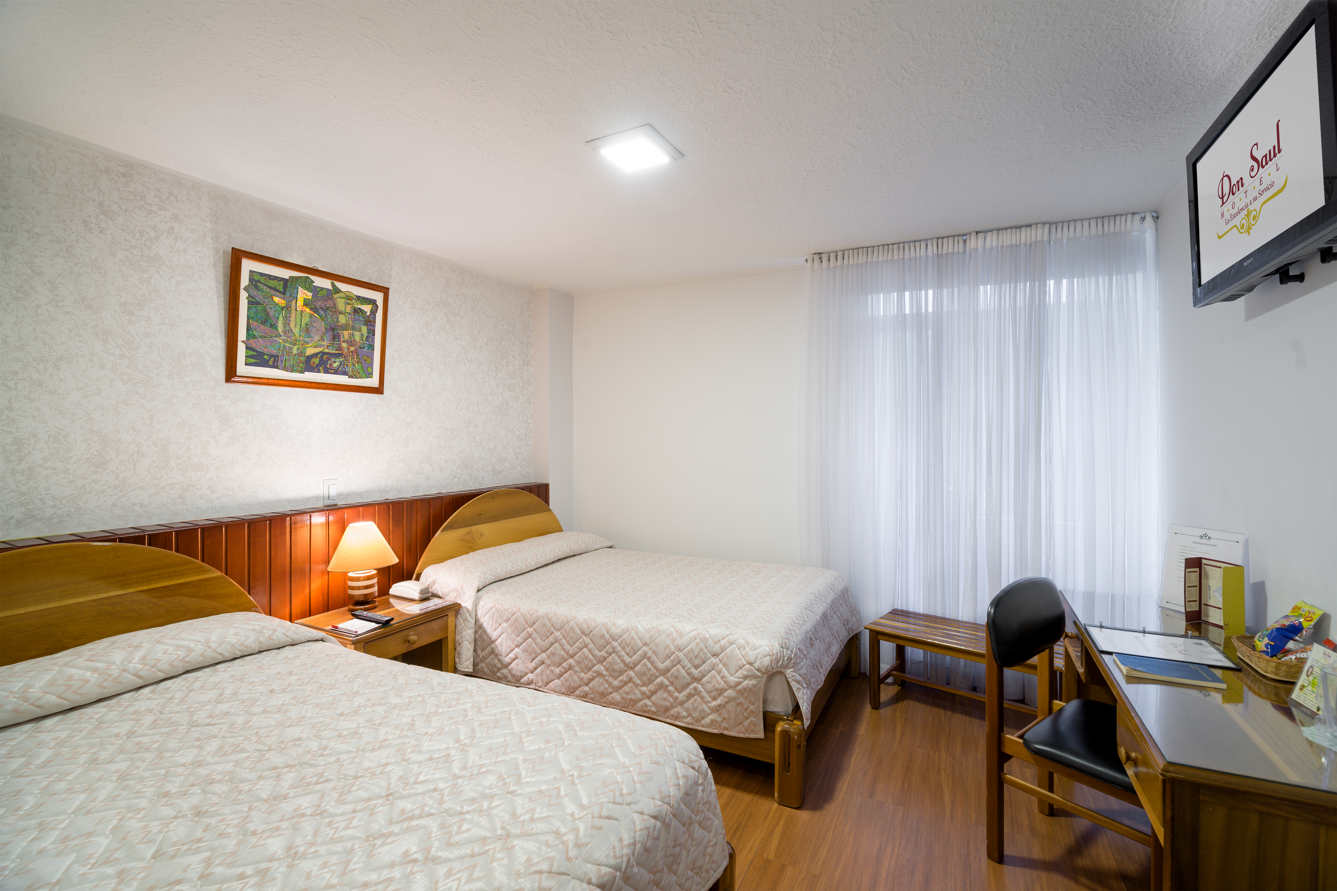 Hotel Don Saul 14/50