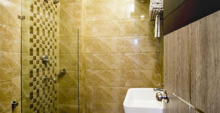 Hotel Pitrashish Premium 41/42