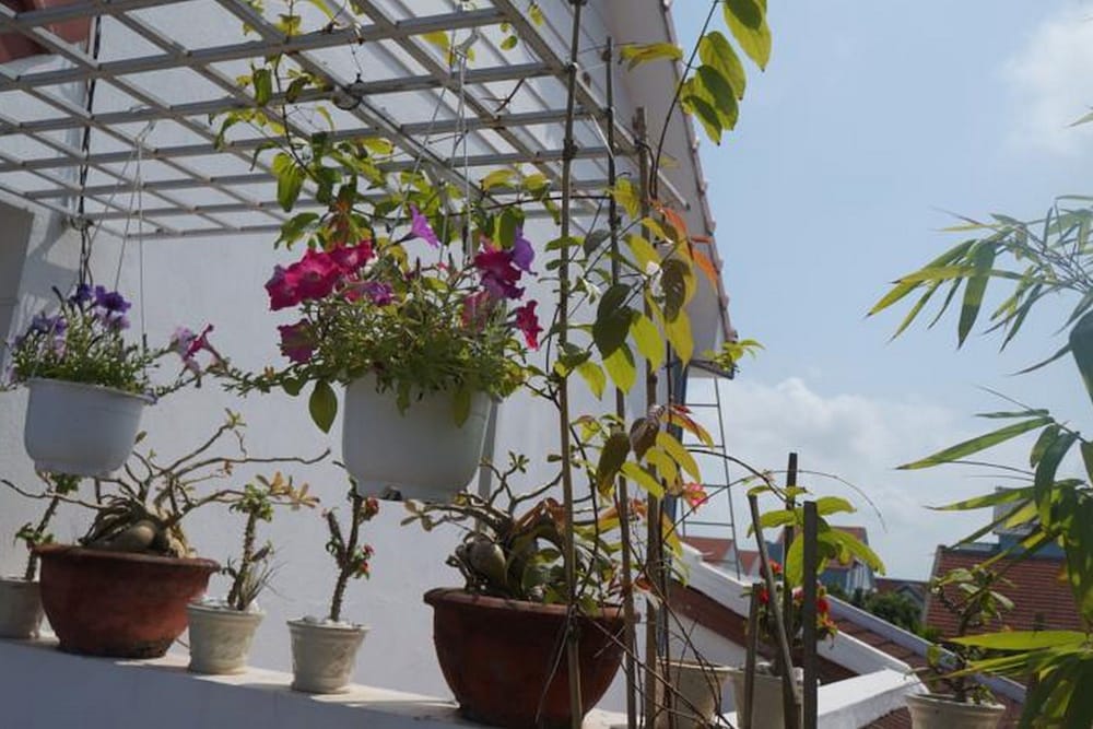 Red House Homestay 19/70