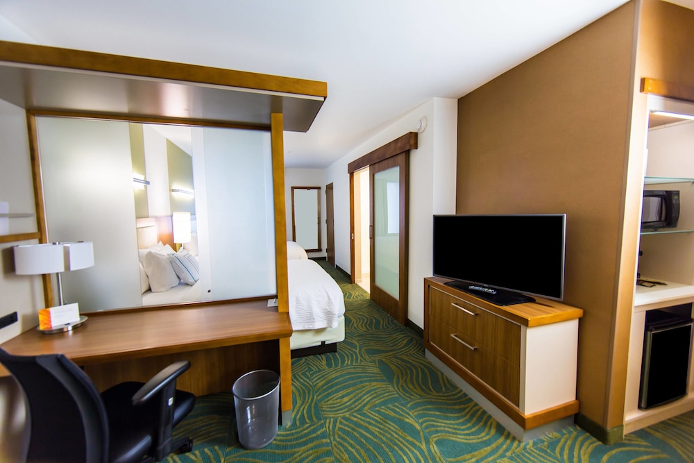 SpringHill Suites Lumberton 49/59