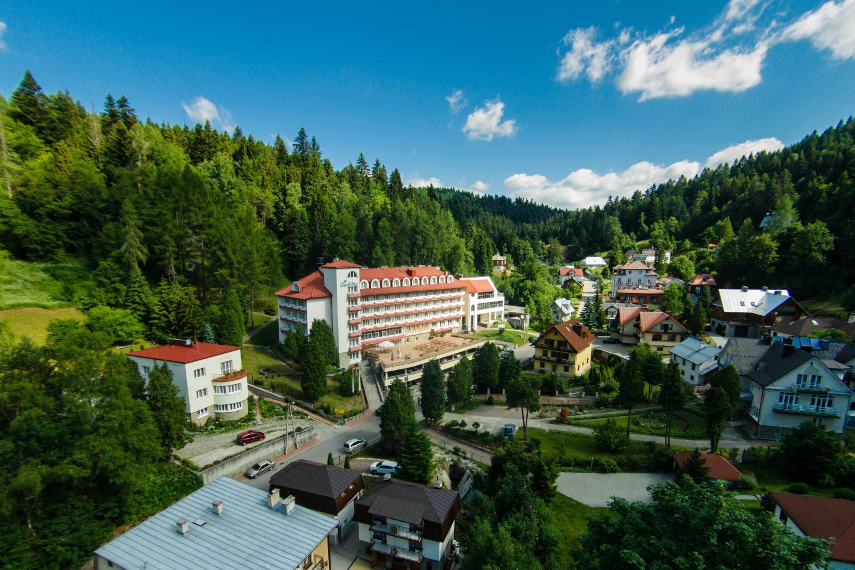 Geovita Krynica 8/60
