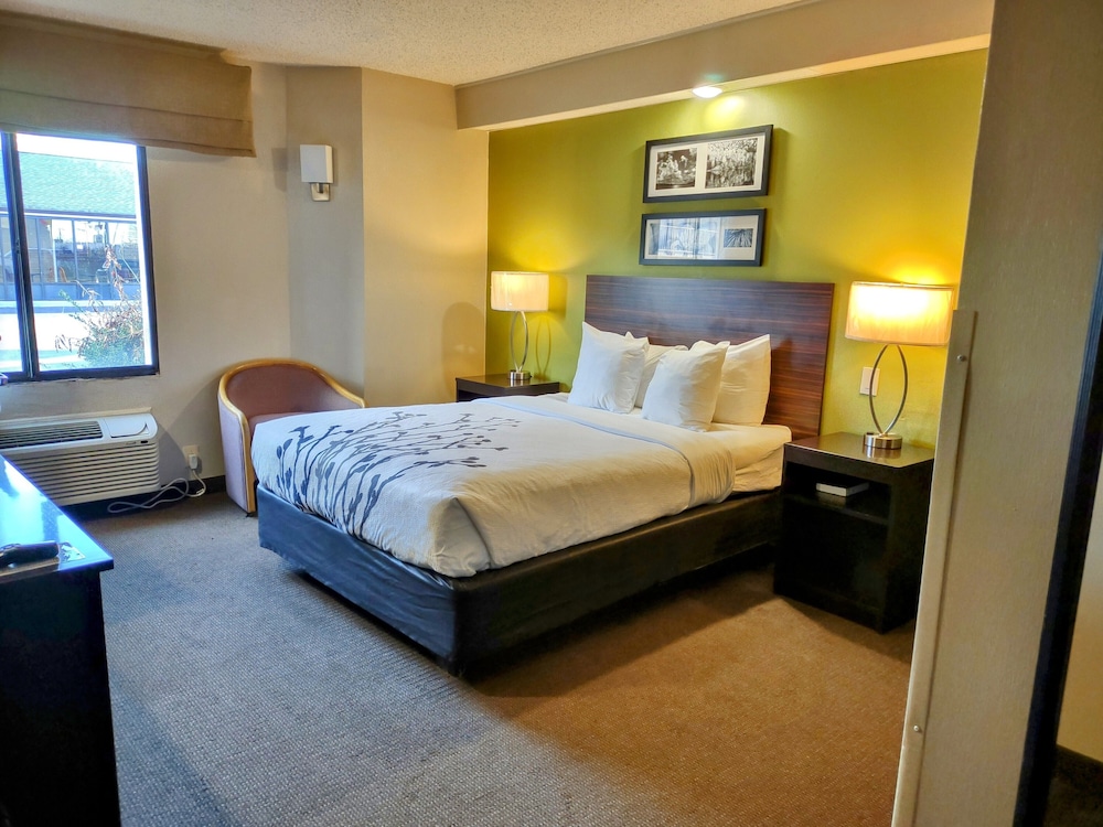 ROOM, QUEEN BED, ACCESSIBLE
