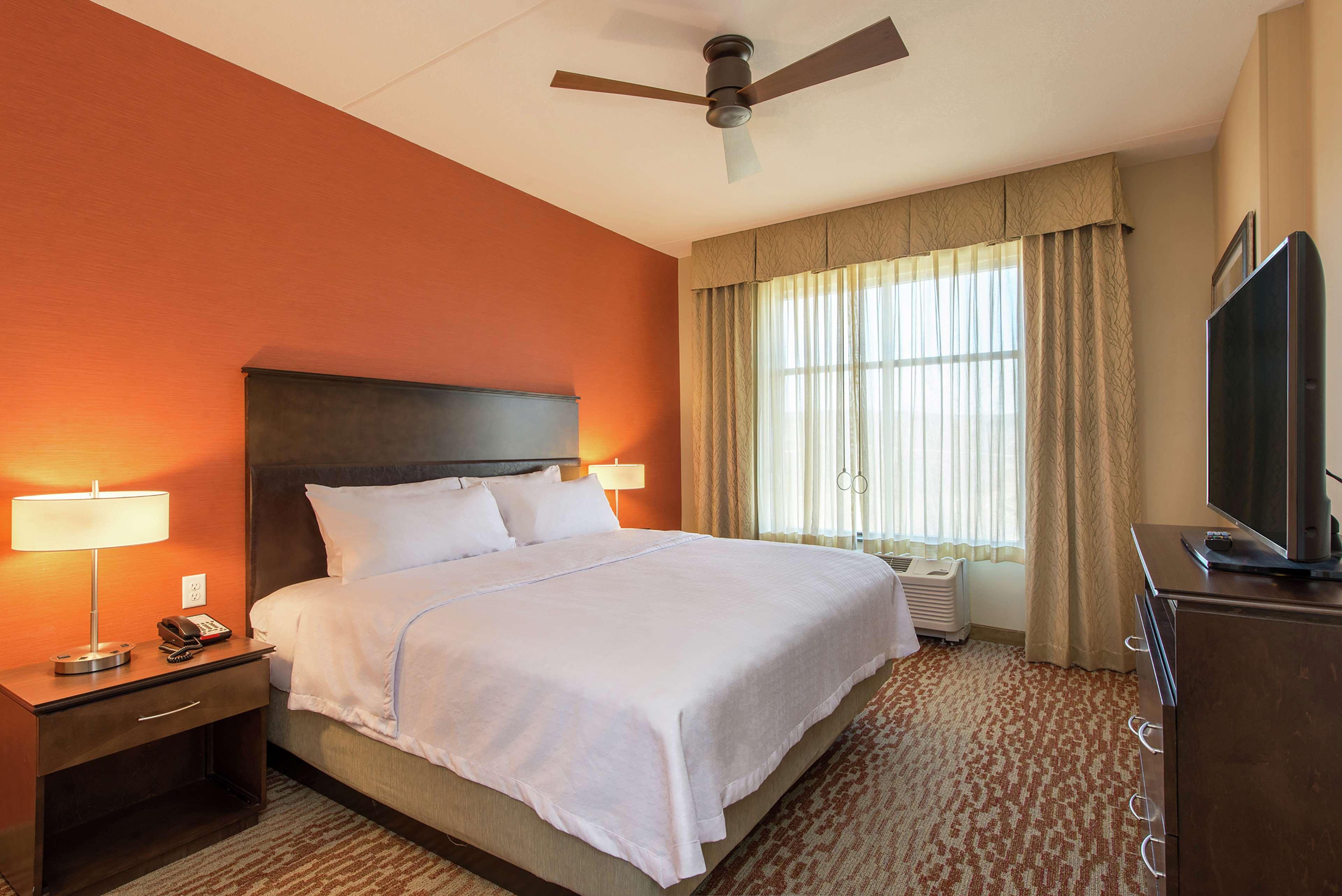 Suite, King Bed