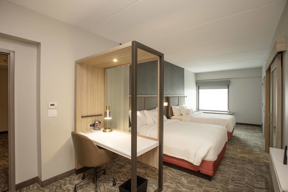 SpringHill Suites by Marriott Athens Downtown/University Area 15/41