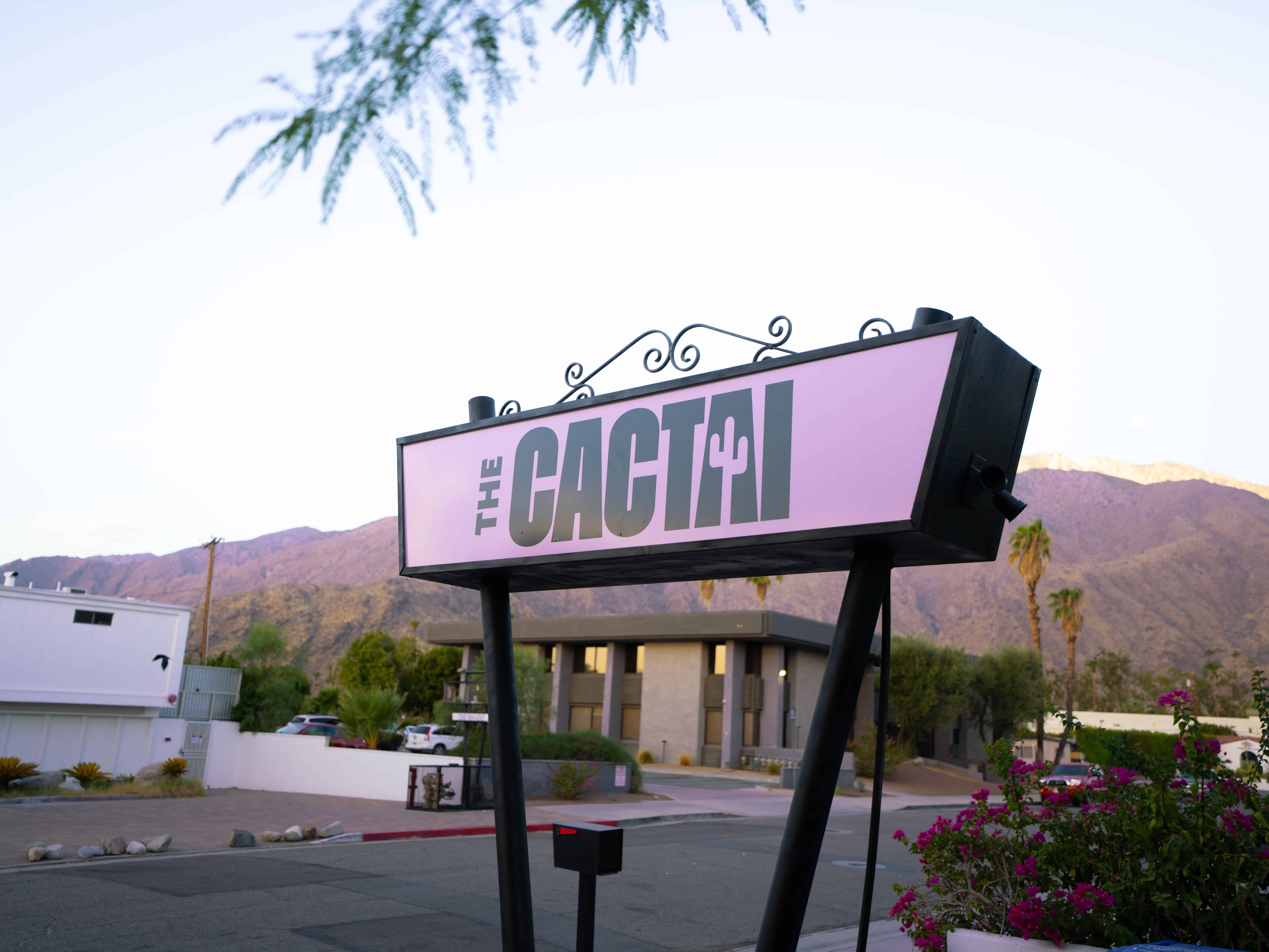 The Cactai 2/50