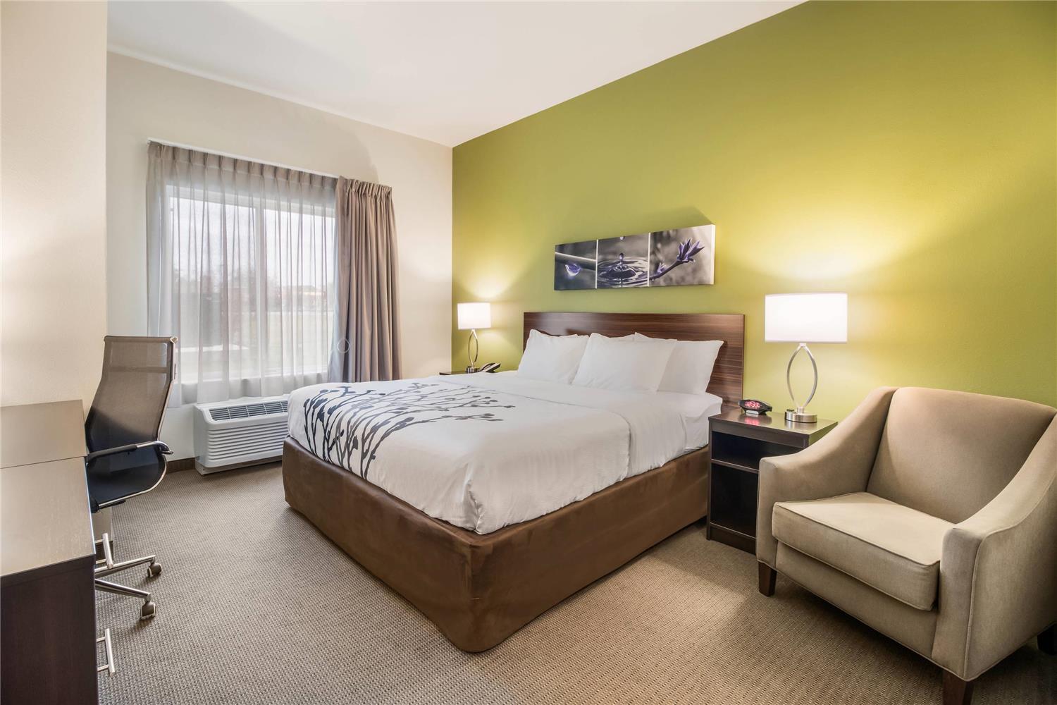 Room, King Bed, Accessible