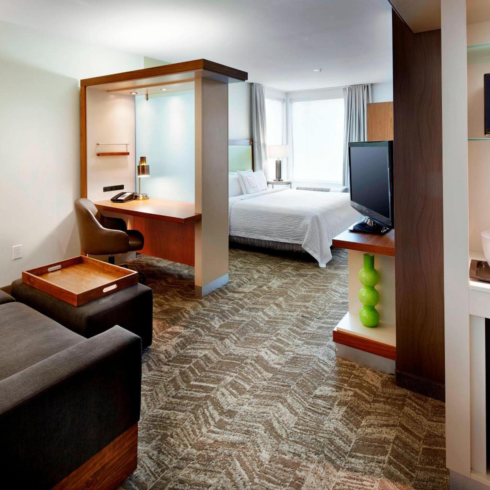 Suite, King Bed, Trundle Bed, Sofa, Bathtub, Accessible