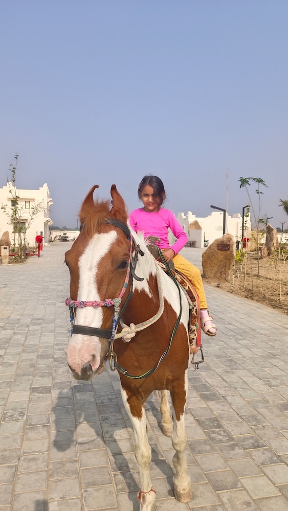 The Fern Sattva Resort, Little Rann of Kutch 54/65