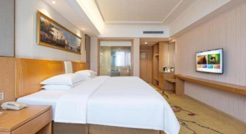 Vienna Hotel (Guangzhou Baiyun Airport Huadu Avenue) 28/58