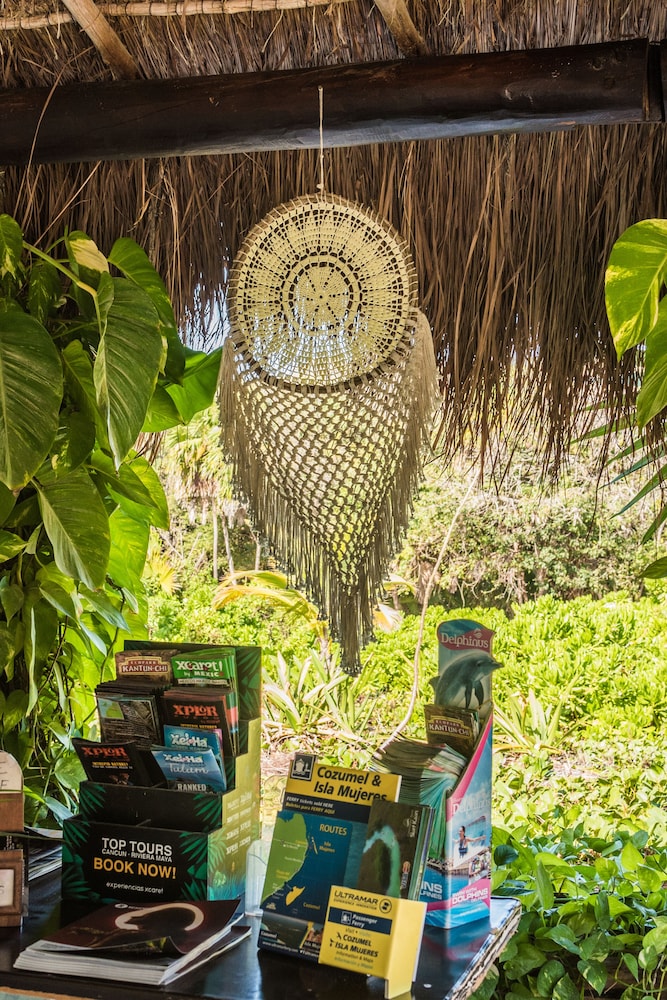 El Paraiso Hotel Tulum 38/50