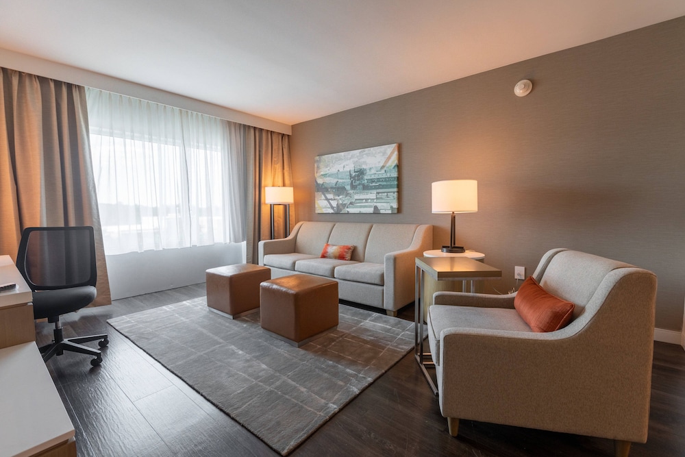 Delta Hotels by Marriott Raleigh-Durham at Research Triangle Park 29/36