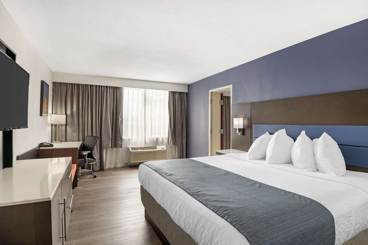 Suite, King Bed, Sofa