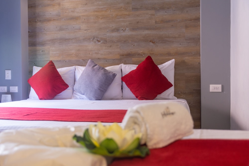 Hotel Hidalgo 18/48