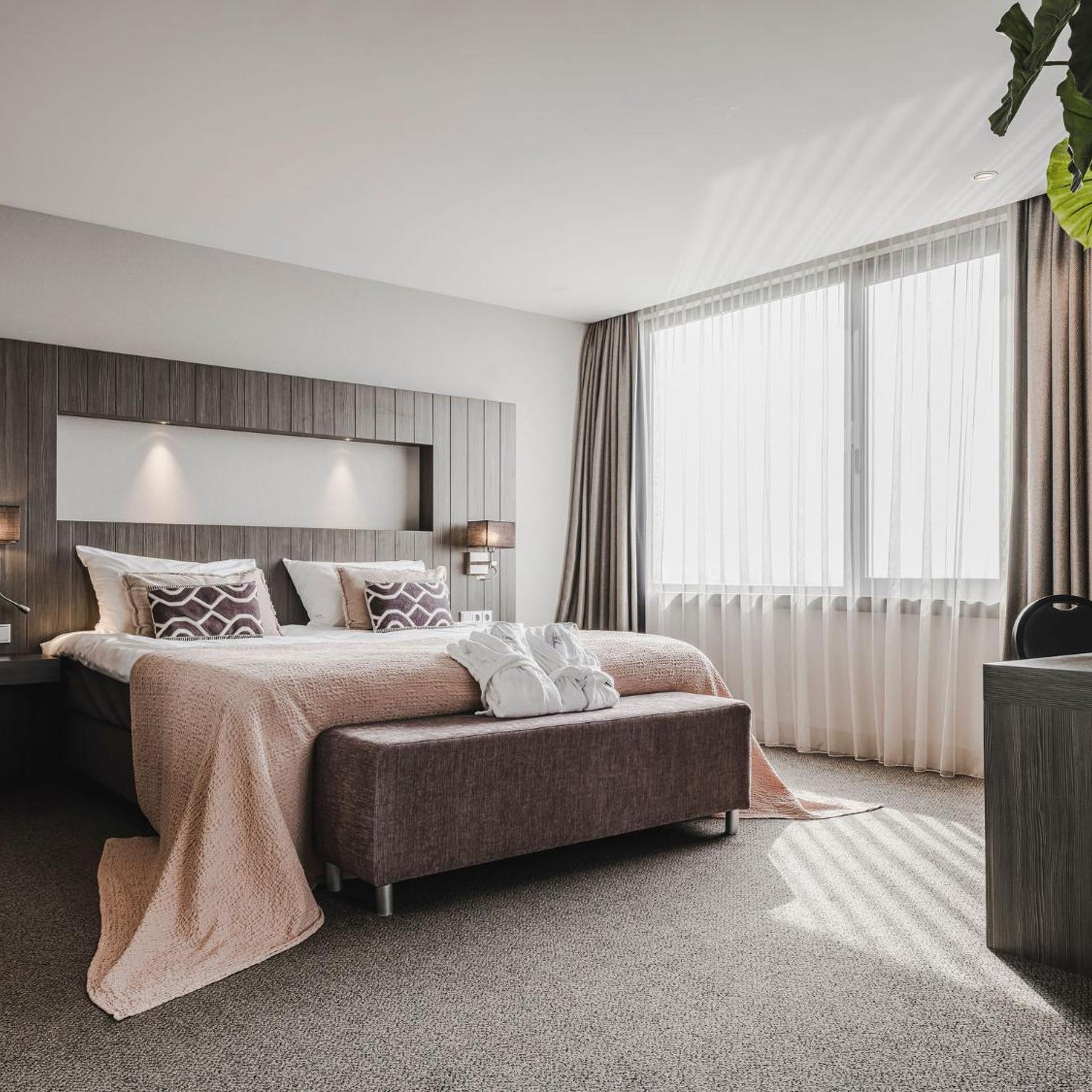 Wellness, Suite