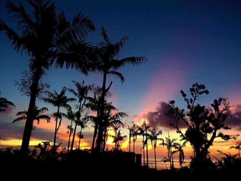 Tanna Evergreen Resort & Tours 37/50
