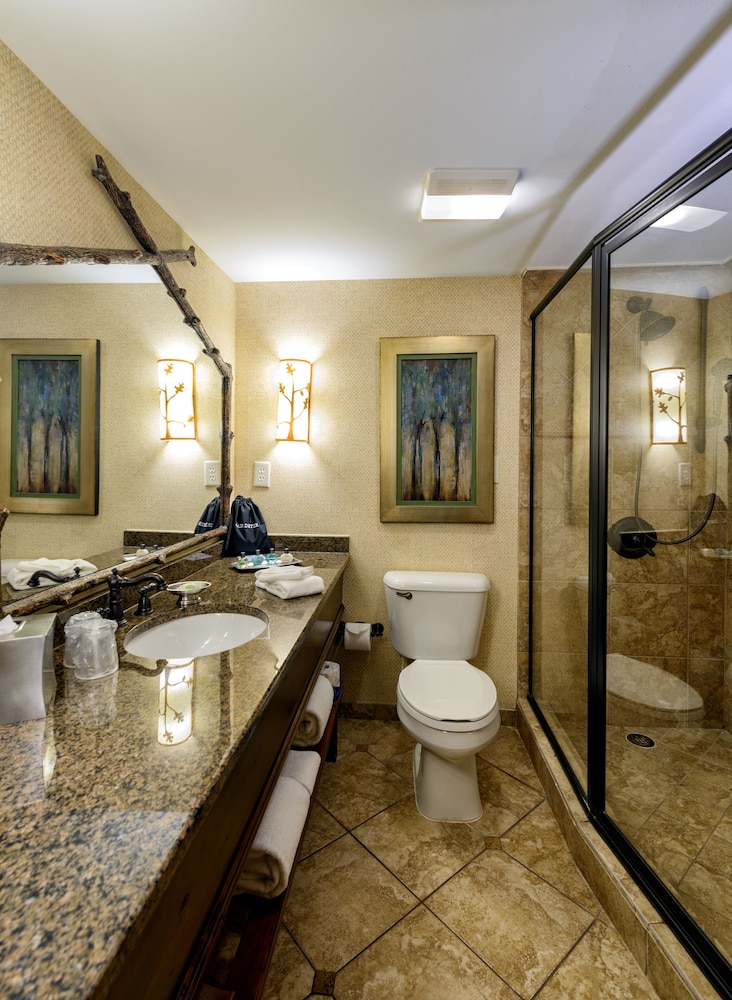 Lanier Islands Legacy Lodge 28/42
