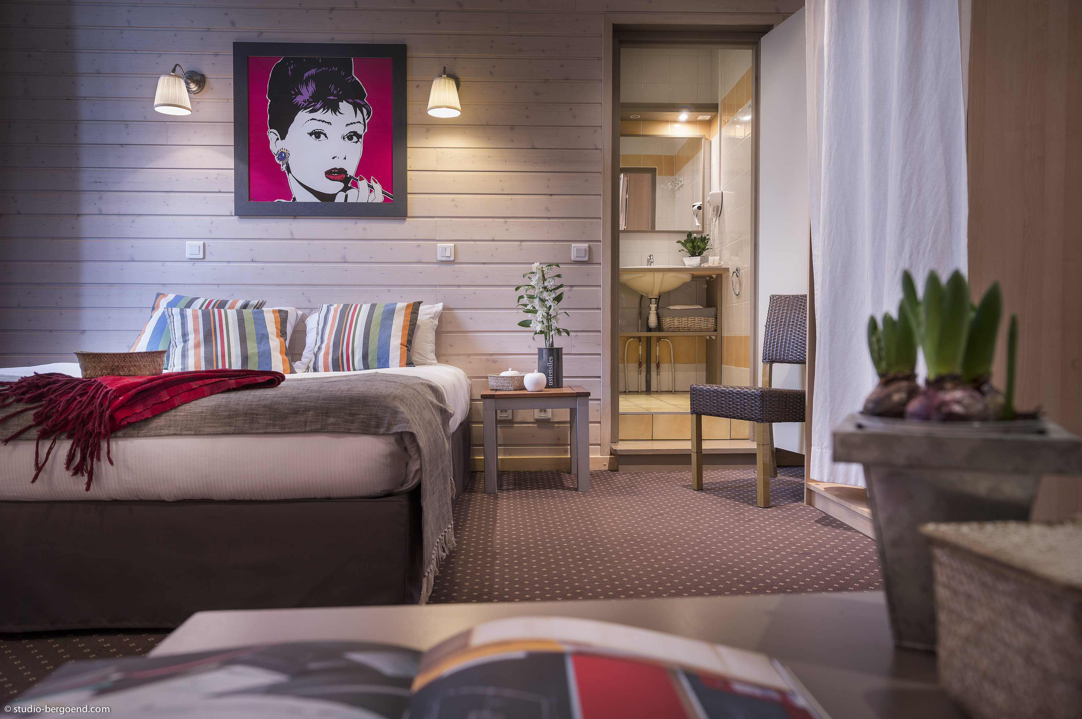 HOTEL DES ALPES 9/17