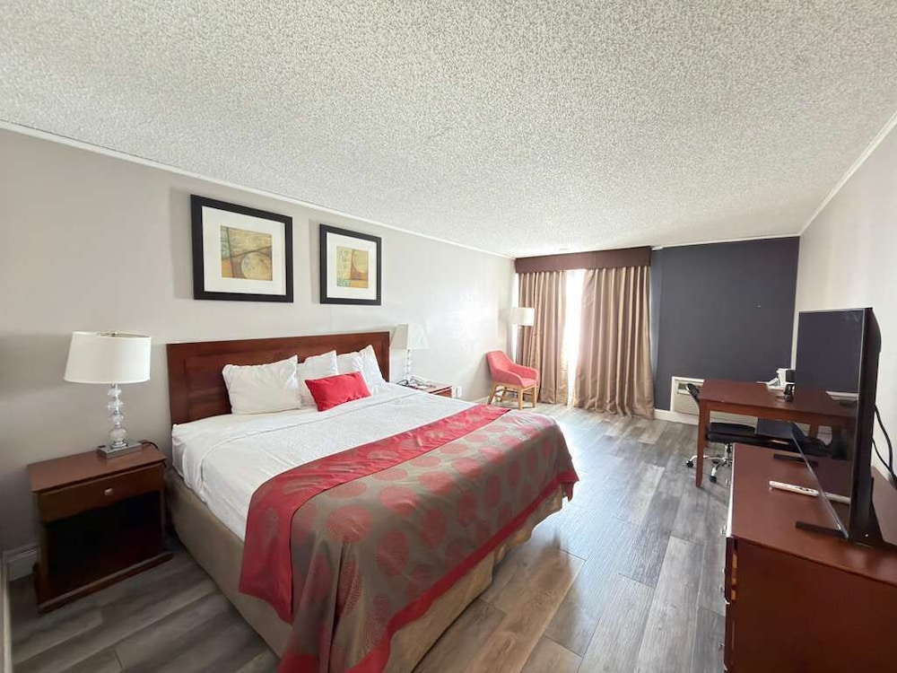 Room, King Bed, Pet Friendly
