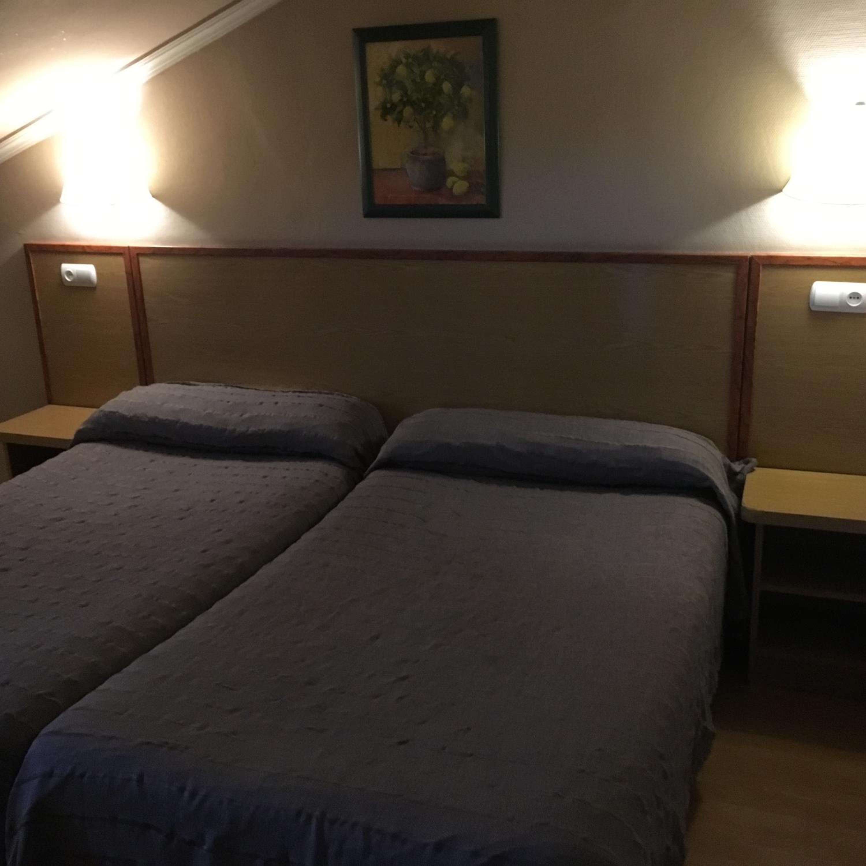 Hotel Avenida Leganes 6/14