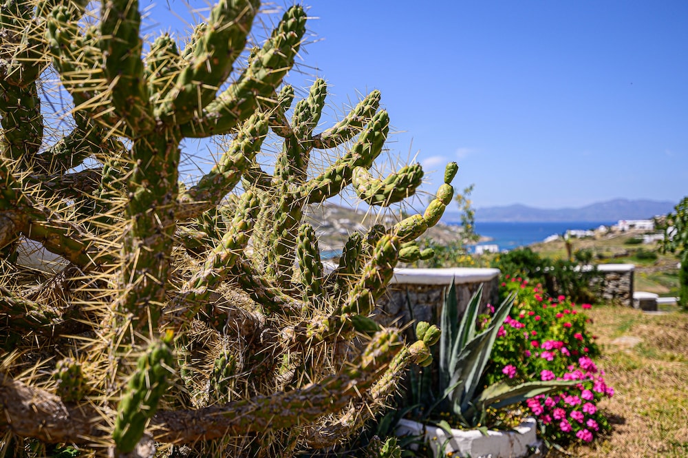9 Muses Villas Mykonos 36/50
